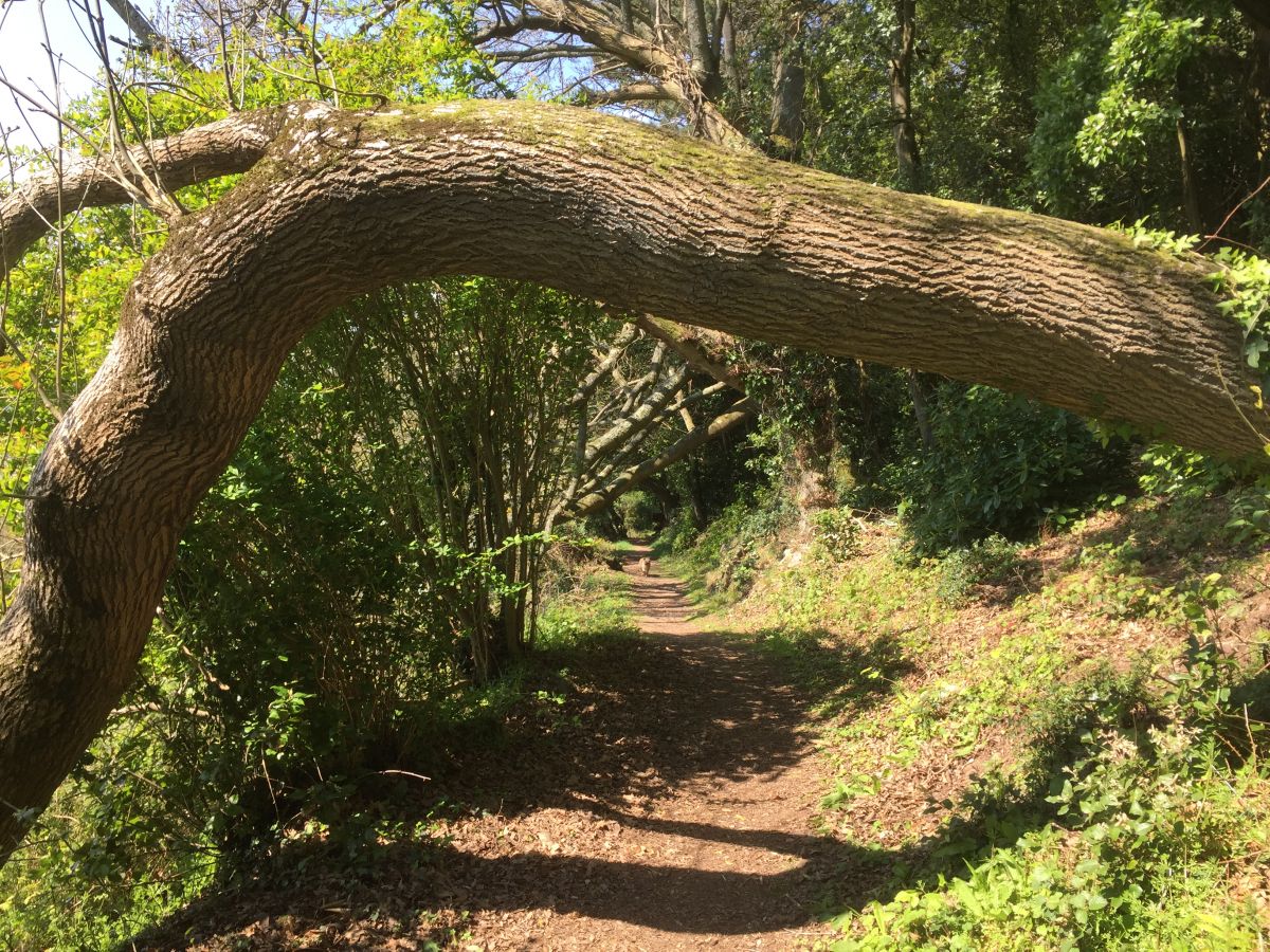 Walks on Exmoor