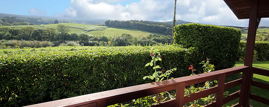 Pine Tree Lodge - View from Veranda