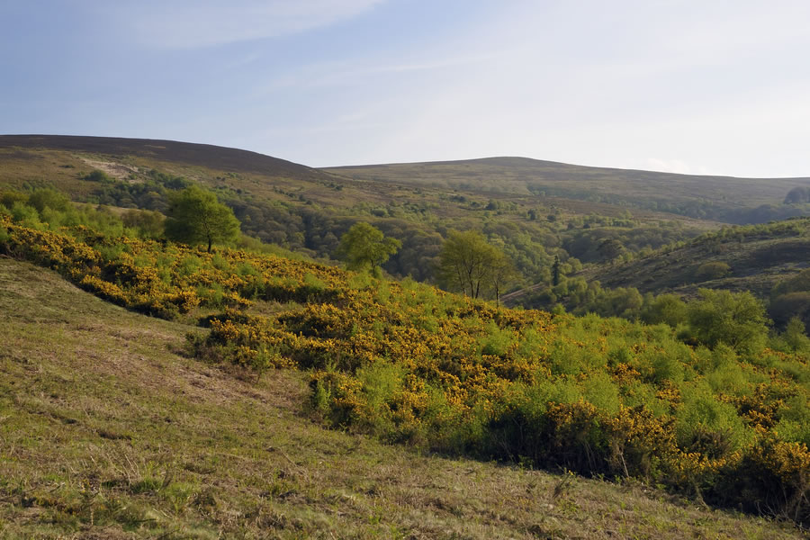 Dunkery Beacon and Webbers Post